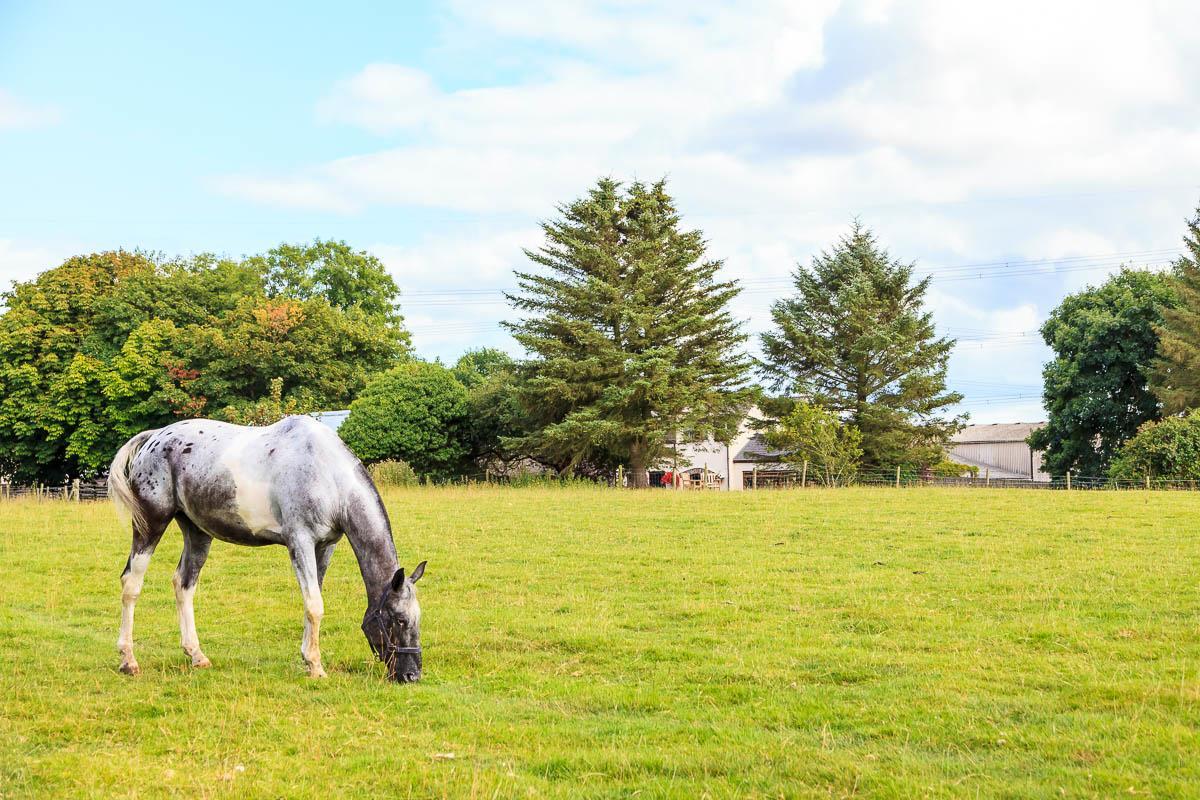 Langdon Farm Guest House Kilgetty Bagian luar foto